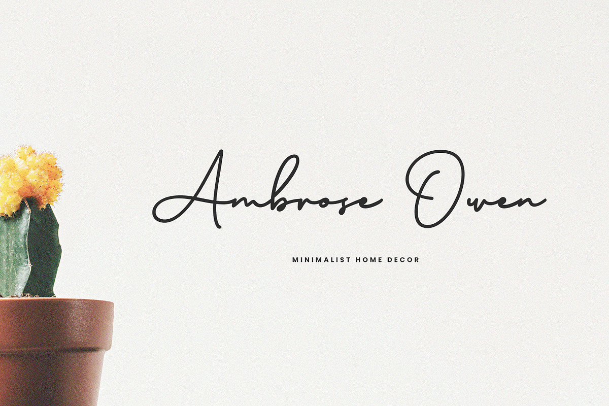 Brinley - Modern Handwritten Font, a Script Font by Flawless And Co (Photo 2 of 10)