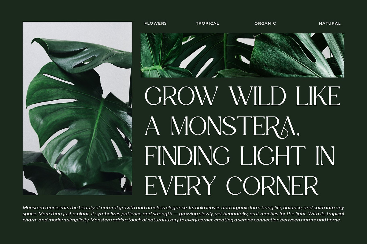 Obhiros || Modern Classy Serif Font, a Serif Font by Ermedia Studio (Photo 6 of 10)