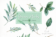 Green Herbs Watercolor clipart, a Food Illustration by everysunsun (Thumbnail 5 of 5)