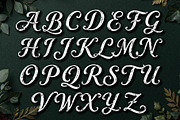 Bravitura Script - Rustic Elegance, a Script Font by HypeWorksCo (Thumbnail 13 of 15)
