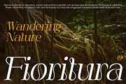 Varelle – Art Nouveau Font, a Serif Font by Craft Supply Co. (Thumbnail 3 of 8)