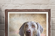 Atelier Hand-Painted Textures, a Texture Graphic by French Kiss Collections (Thumbnail 9 of 10)