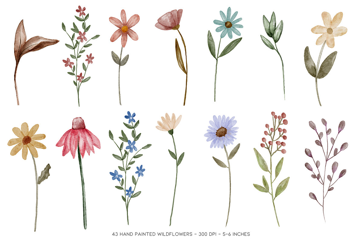 Painted Watercolor Flowers Clipart, a Decorative Illustration by Murphy & Frank (Photo 4 of 8)