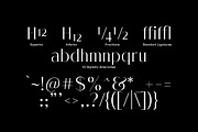 Melloida High Contrast Sans Family, a Sans Serif Font by Lettertype Studio (Thumbnail 10 of 15)