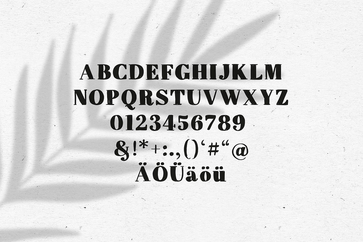 FONT / STEINRUHE preview 2