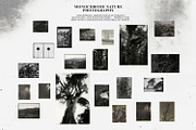 Mystic Botanical & Nature Relics, an Object Graphic by Natali Batu (Thumbnail 9 of 12)
