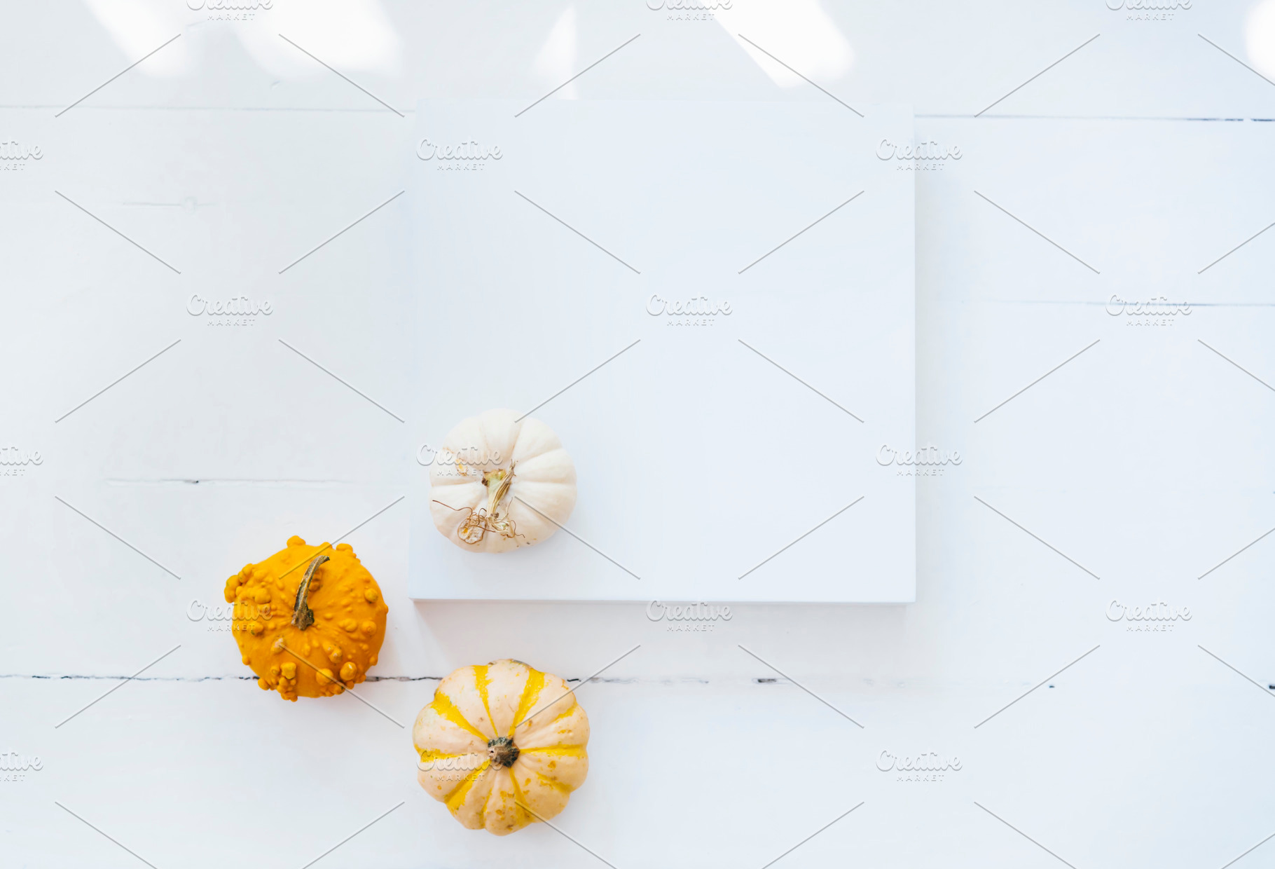 Empty picture frame autumn pumpkin, a Holiday Photo by hitdelight