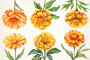 Marigold Flower Bloom Clipart, an Illustration by Rose Art (Thumbnail 2 of 8)