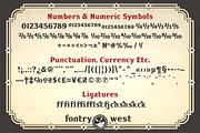 FHA Sign DeVinne, a Serif Font by Fontry West (Thumbnail 3 of 9)