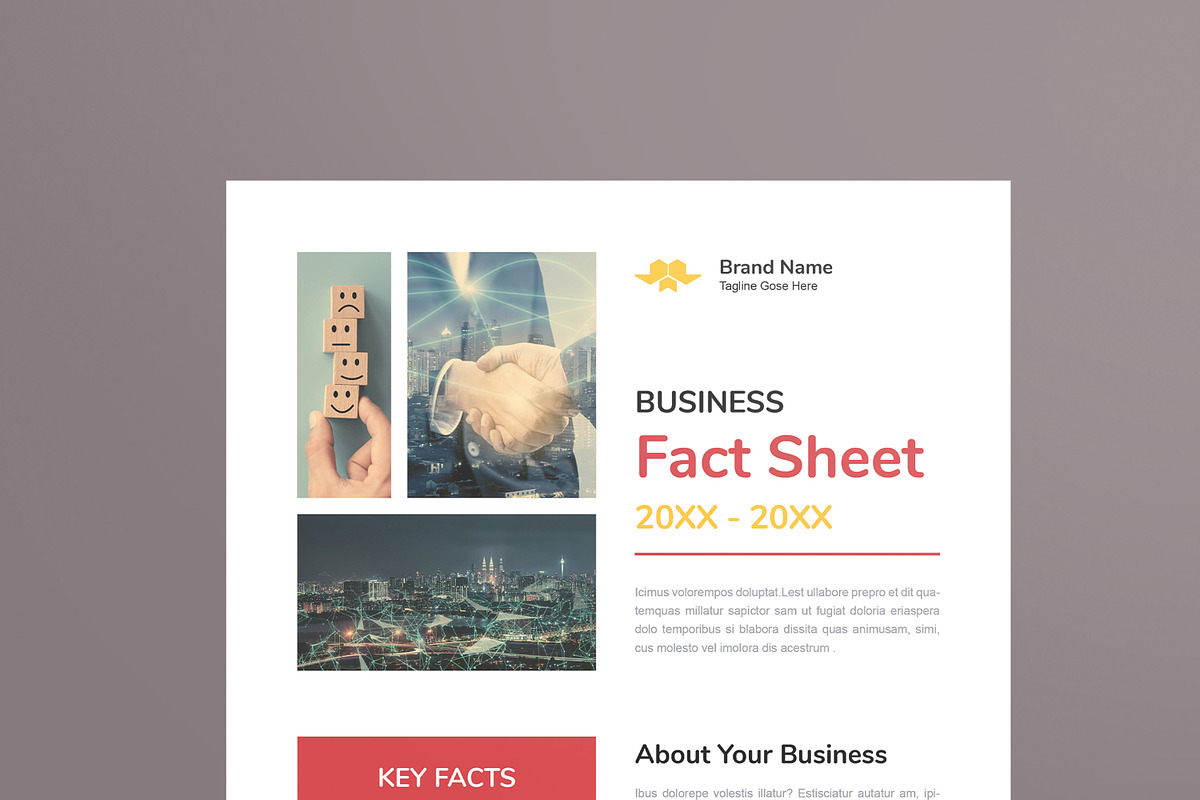 Business Fact Sheet Flyer, a Flyer Template by MightyDesign (Photo 2 of 8)