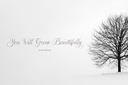 Idgitaf | Calligraphy Script Font, a Script Font by Mahesans Co (Thumbnail 6 of 10)