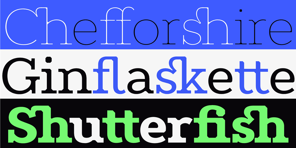 Constant, a Slab Serif Font by Underscore (Photo 12 of 12)