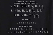Married, a Handwritten Font by FreshTypeINK (Thumbnail 5 of 8)