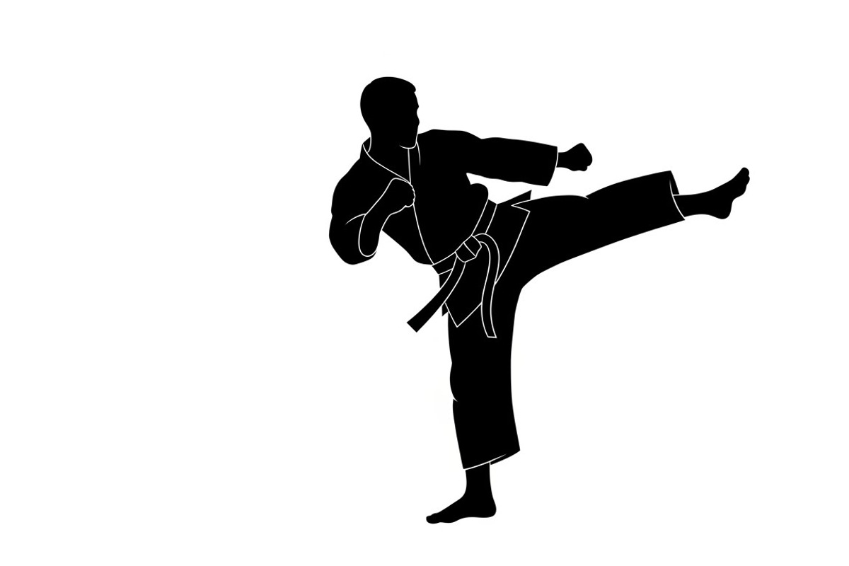 Dynamic martial arts kick silhouette, an Illustration by Amazin_art (Photo 23 of 36)