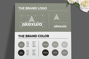 Brand Kit Design Template