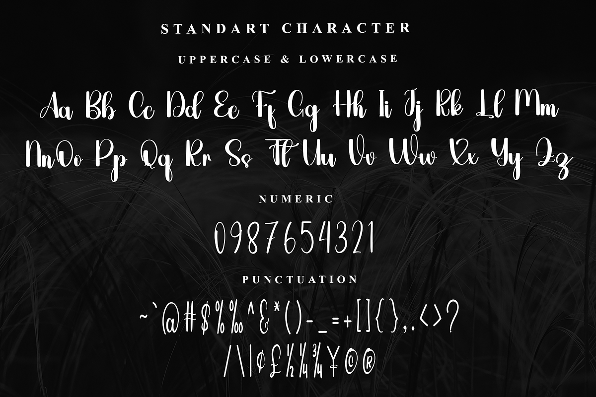 Autography, a Handwritten Font by InermediaSTUDIO (Photo 5 of 7)