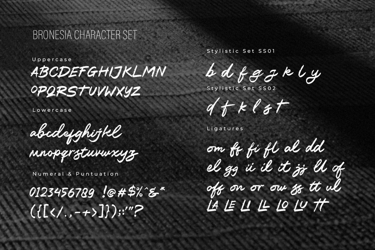 BRONESIA - Modern Brush Script, a Script Font by Olexstudio (Photo 8 of 9)