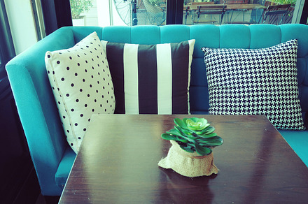 Green Plant In Black Vase preview 5