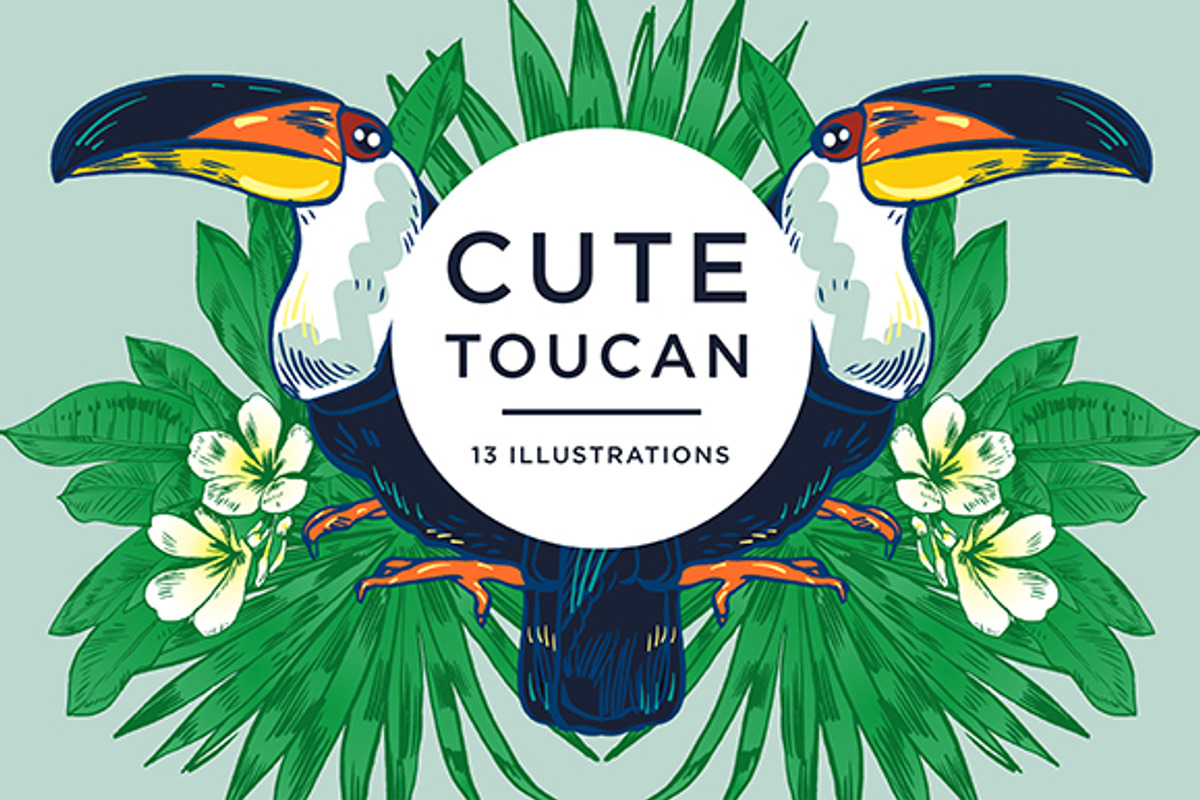 TOUCAN, an Animal Illustration by Tanya Akhmett (Photo 1 of 11)