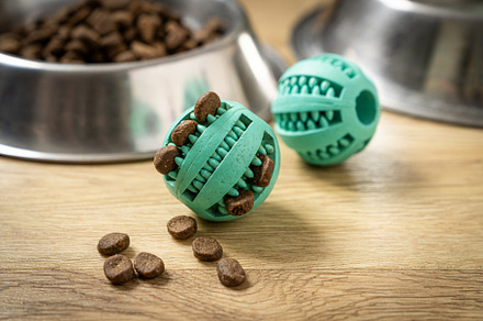 Pet food concept - dry pet food on bowl on wood background