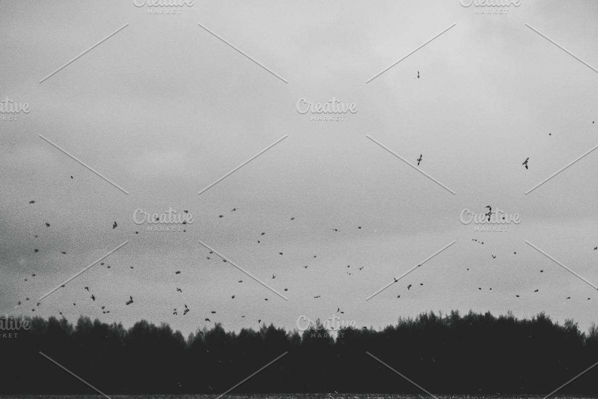 Mood collection, a Photo by Alekseyliss (Photo 13 of 21)