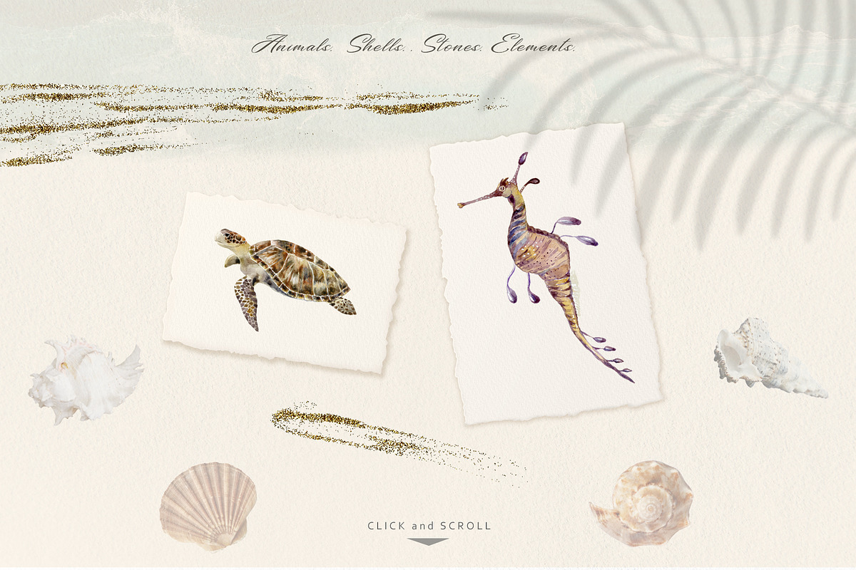 Underwater Magic. Marine Bundle., an Animal Illustration by Designwork (Photo 2 of 21)