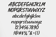 Blueberry snack, a Handwritten Font by cocodesign (Thumbnail 5 of 6)
