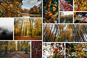 100+ New Hi-Res Autumn Photos, a Background Photo by moonloop (Thumbnail 9 of 13)