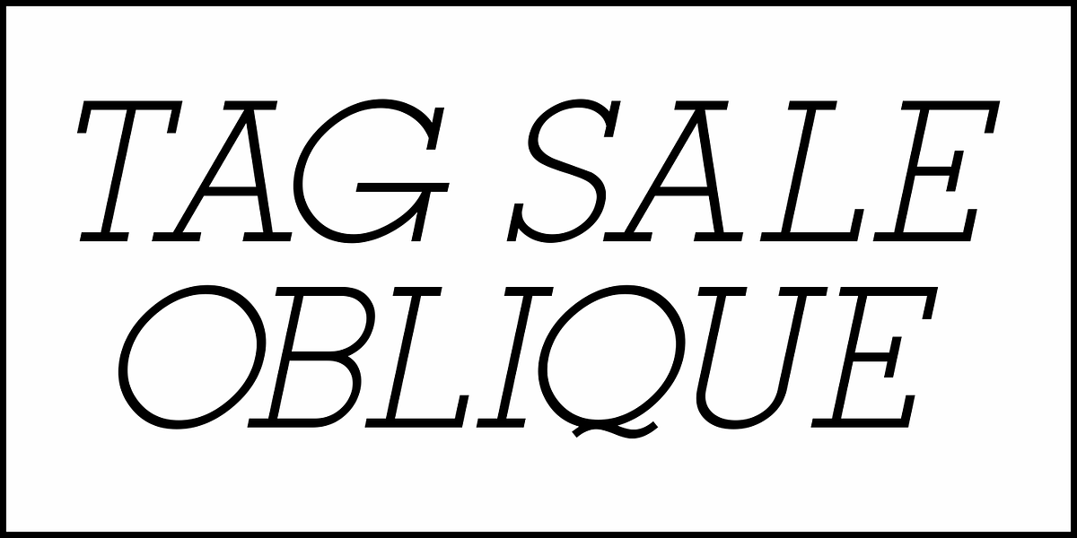 Tag Sale JNL, a Slab Serif Font by Jeff Levine Fonts (Photo 4 of 5)