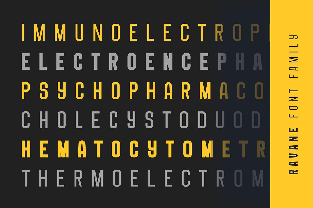 Ravane Font Family - 22 Fonts, a Font by alpercakici (Photo 10 of 15)