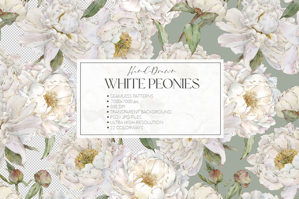 White Peonies Watercolor Collection, a Pattern Graphic by Alisa Fimen Design (Photo 3 of 13)