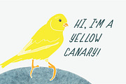Yellow Canary Font, a Script Font by Hello Brio (Thumbnail 2 of 4)