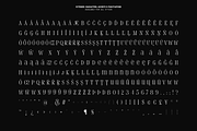 Evertype - Display Serif Font Family, a Serif Font by VP Fonts (Thumbnail 24 of 32)