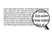 Baseface - Base Sans Font Family, a Sans Serif Font by Attractype (Thumbnail 3 of 8)