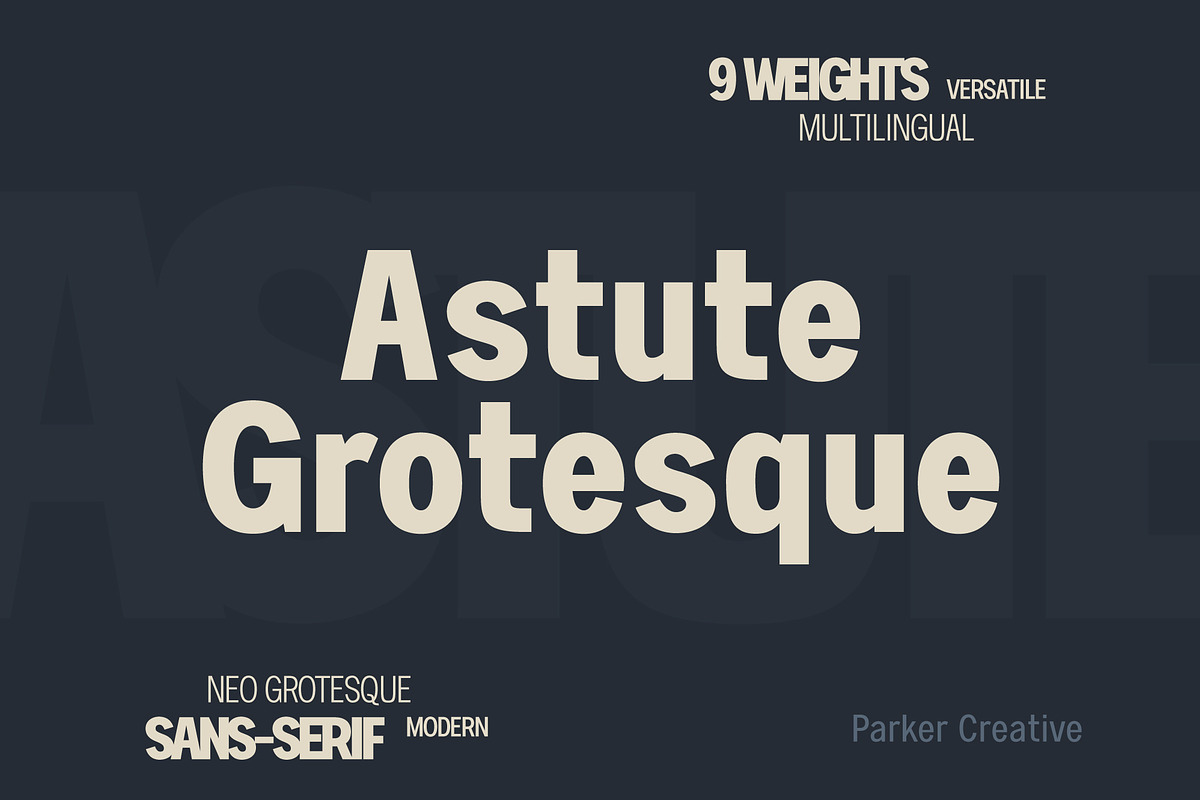 Astute Neo-Grotesque Modern Sans, a Sans Serif Font by Parker Creative (Photo 1 of 10)