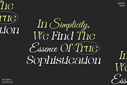 Qianzy – Elegant Font, a Serif Font by Craft Supply Co. (Thumbnail 4 of 8)