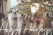 Magic Winter | Script Serif Font Duo, a Serif Font by KA Designs (Thumbnail 17 of 24)