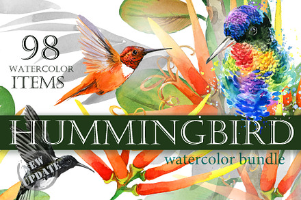 Watercolor Tropical plant & Bird