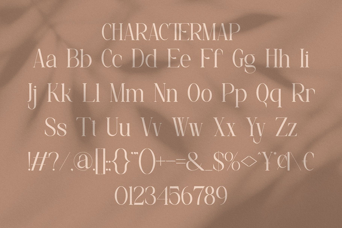 Diseva || Elegant Classy Serif Font, a Serif Font by Ermedia Studio (Photo 8 of 9)