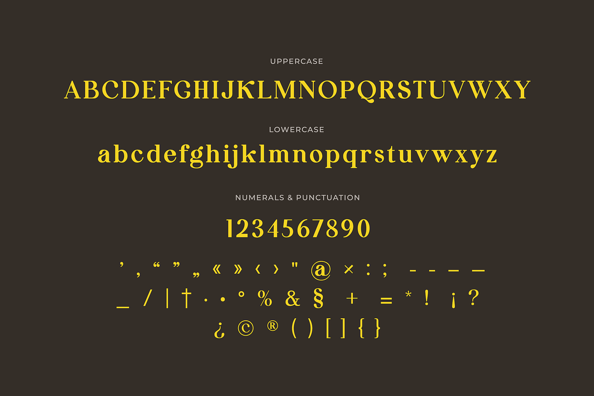 Flagoria Calintha Serif Font Family, a Serif Font by UICreative (Photo 6 of 14)