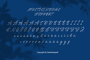 Amely Shine - Beautiful Script Font, a Font by Salamahtype (Thumbnail 8 of 8)