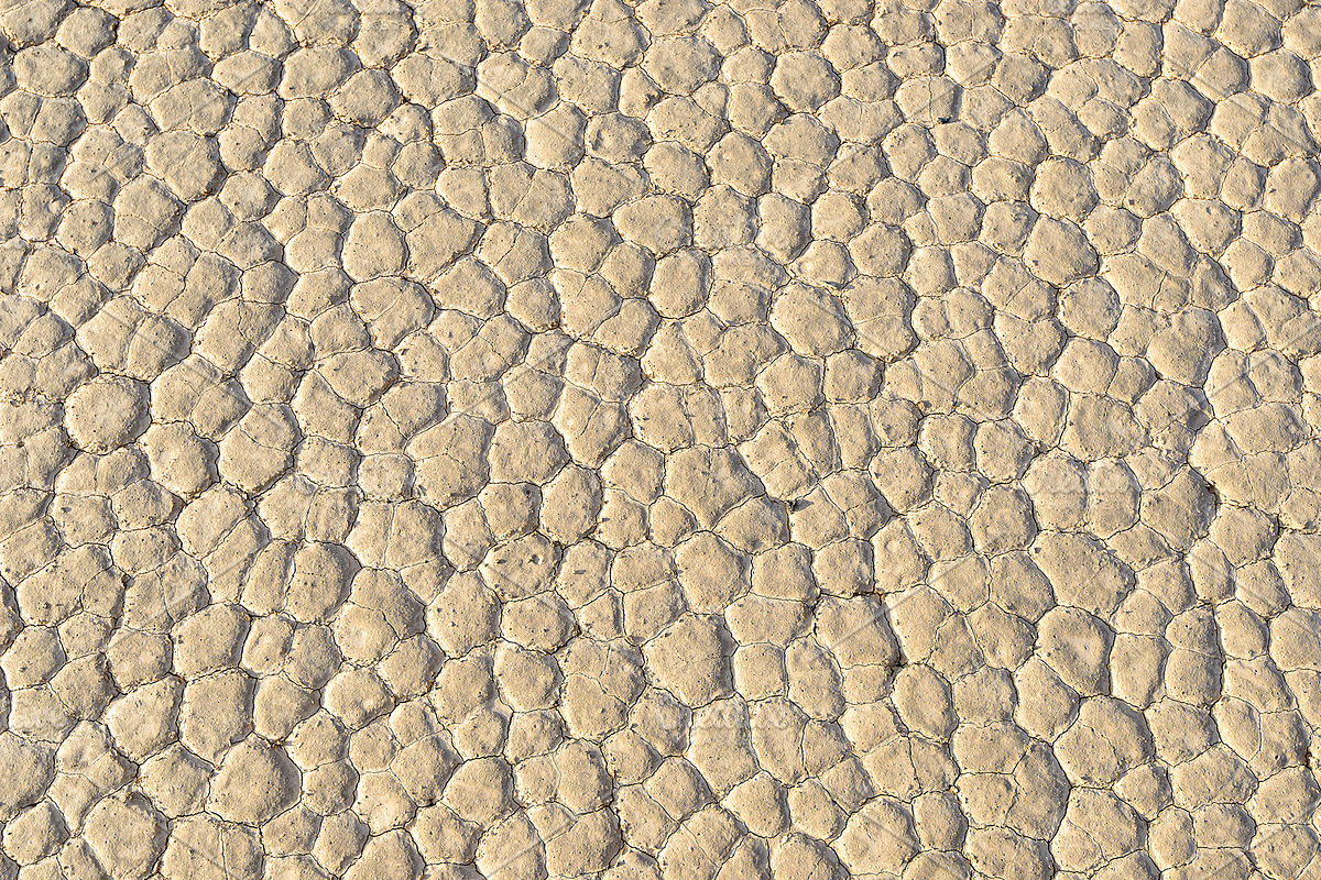 Crackled earth background containing texture, background, and desert, a Nature Photo by Lucky Photographer (Photo 1 of 2)
