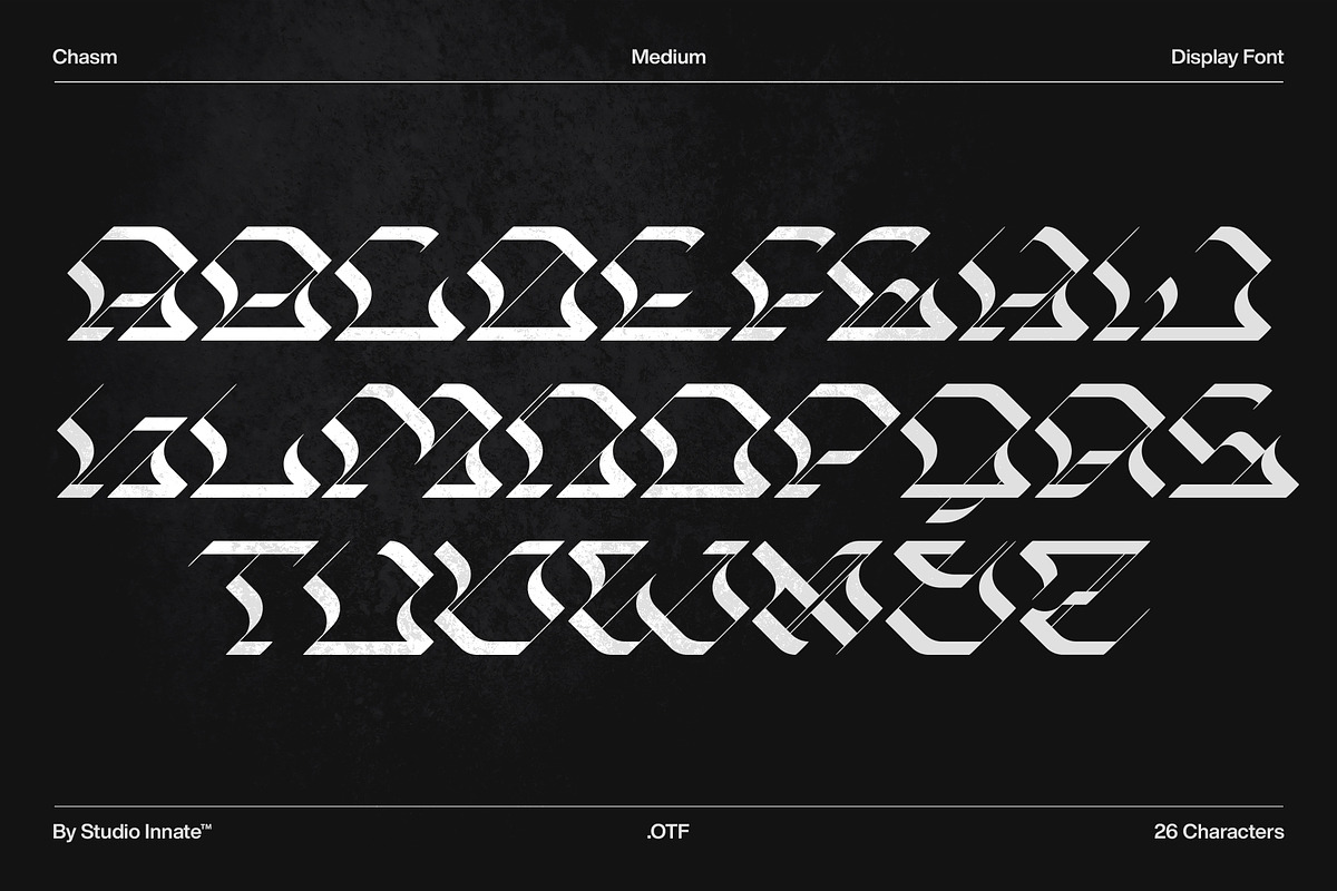 Chasm - Display Font Family, a Serif Font by Studio Innate (Photo 4 of 6)