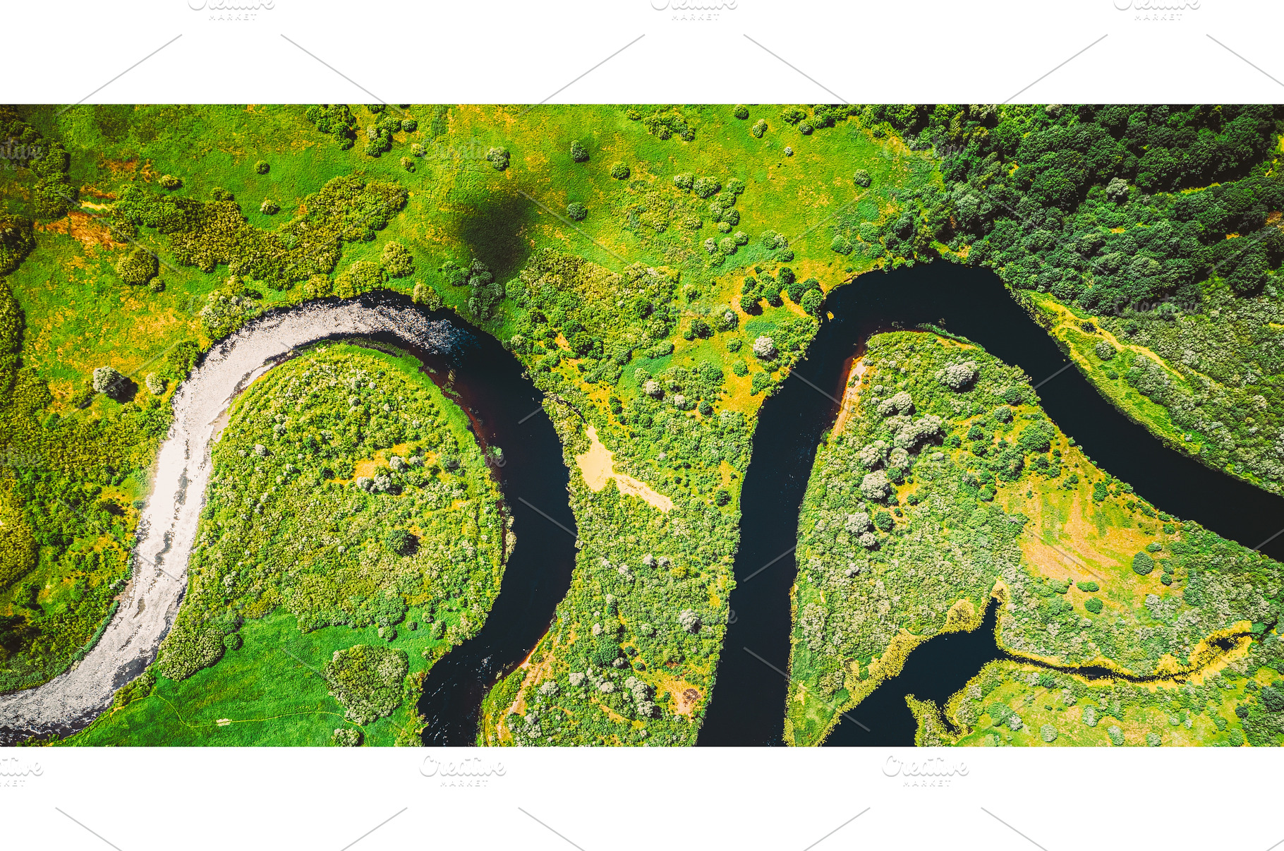 Aerial View Green Forest Woods And, a Nature Photo by Our Amazing World