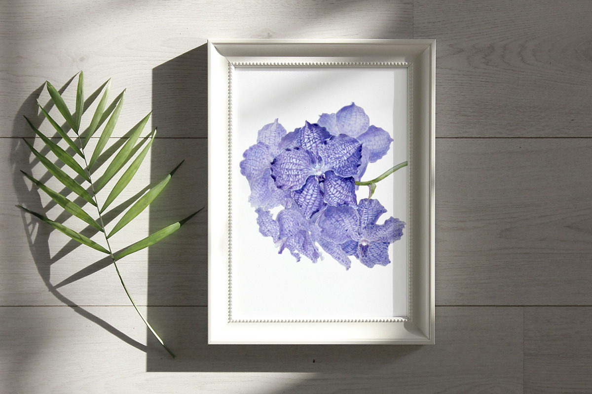 Botanical art watercolor and pencils, a Food Illustration by ViktoriArt (Photo 9 of 16)