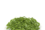 Arugula PS, an Environmental 3D Model by AndrewWhite (Thumbnail 4 of 7)