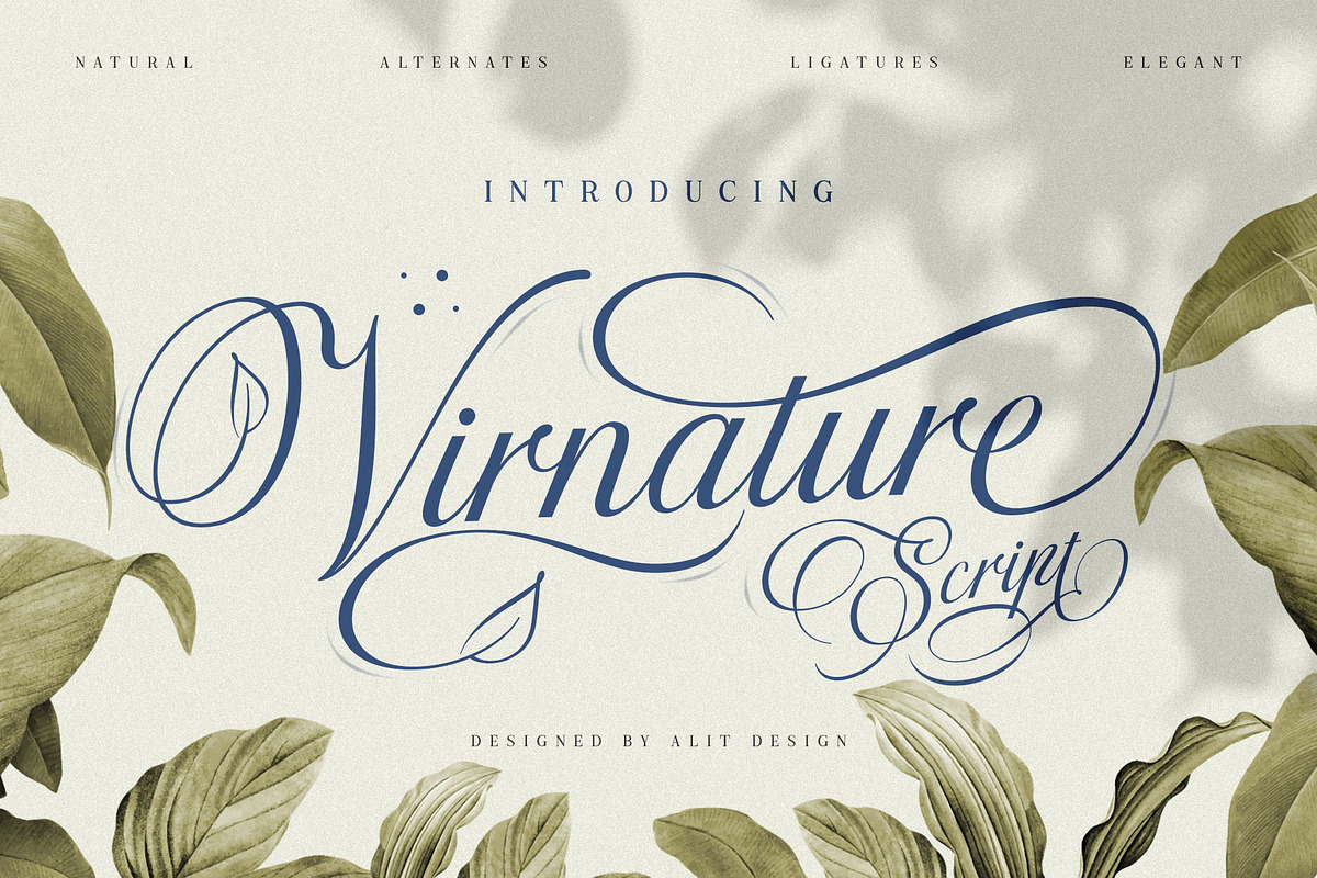 The Virnature Nature Script, a Script Font by alit design (Photo 1 of 18)