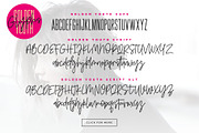 Golden Youth Font Duo, a Sans Serif Font by Sam Parrett (Thumbnail 9 of 9)