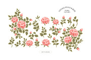 Vintage Peony & Rose Logo Set, an Object Graphic by Artflorara (Thumbnail 7 of 9)