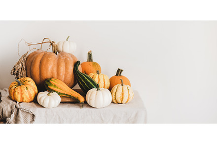 Colorful pumpkins of different, a Food & Drink Photo by Foxys